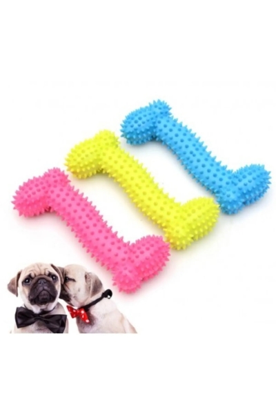 Kemik Şeklinde Diş Kaşıma & Isırma