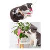 Interaktif Kedi Tüy Oyuncak Değnek Oyuncak Teaser Sevimli Balık Çıngıraklı Oyun Kovalamaca Egzersizi