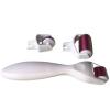Derma Roller Titanyum İğneli 3 Başlıklı Set