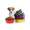Katlanabilir Kedi Köpek Mama & Su Kabı Taşınabilir