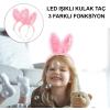 Kenarları Dantelli Pembe Pullu Payetli Led Işıklı Tavşan Kulak Taç 23x19 cm