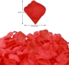 Kırmızı Renk Gül Yaprağı Şekilli Konfeti – 10 Paket 1000 Adet